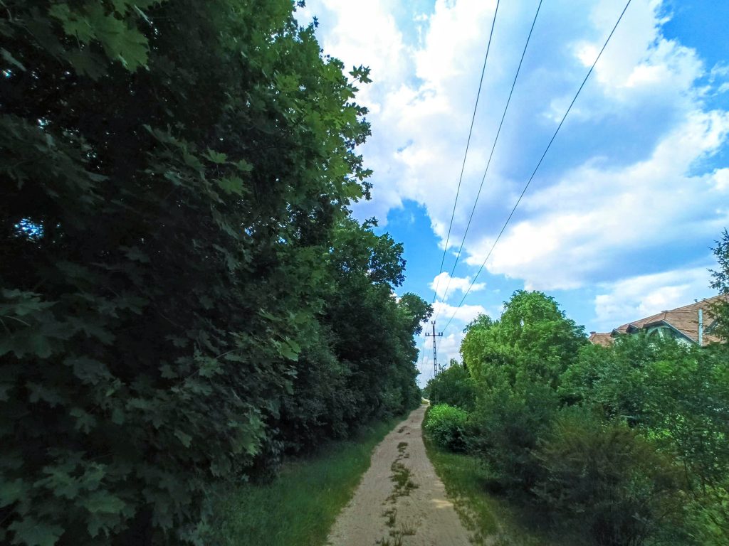 Flór Ferenc utca